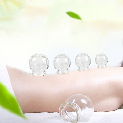 Experimenta los beneficios de la terapia de masaje con ventosas con ventosas básicas 1 año de vida útil