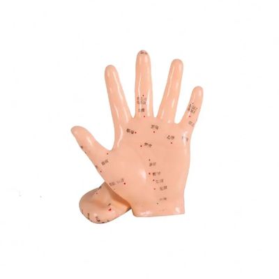 Modelo de cuerpo de acupuntura articulaciones flexibles para posicionamiento realista y superficie fácil de limpiar en el entrenamiento