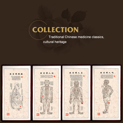 CE Certified Basic Cupping Cups Cupping Set Hijama Kits Comprehensive Solution for Therapeutic and Wellness Applications