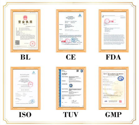 Representación detallada y realista del cuerpo humano Acupuntura Modelo de cuerpo portátil ligero y fácil de transportar para la enseñanza médica