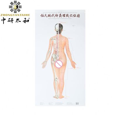 Cultura de acupuntura individualizada aprovechando las capacidades curativas naturales del cuerpo con acupuntura