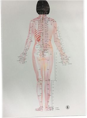Medicina tradicional china personalizada Tratamiento seguro y eficaz