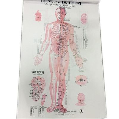 Medicina tradicional china personalizada Tratamiento seguro y eficaz