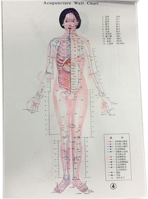 Medicina tradicional china personalizada Tratamiento seguro y eficaz