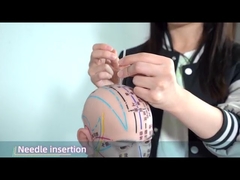 Agujas de presión para acupuntura auricular Hwato, promueven eficazmente la circulación sanguínea 0.22*1.5mm